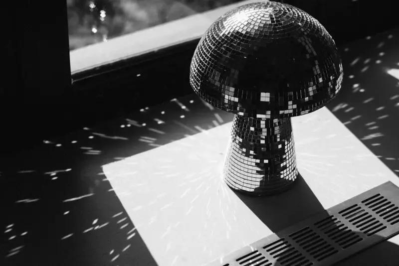 Lampe champignon vs lampe classique